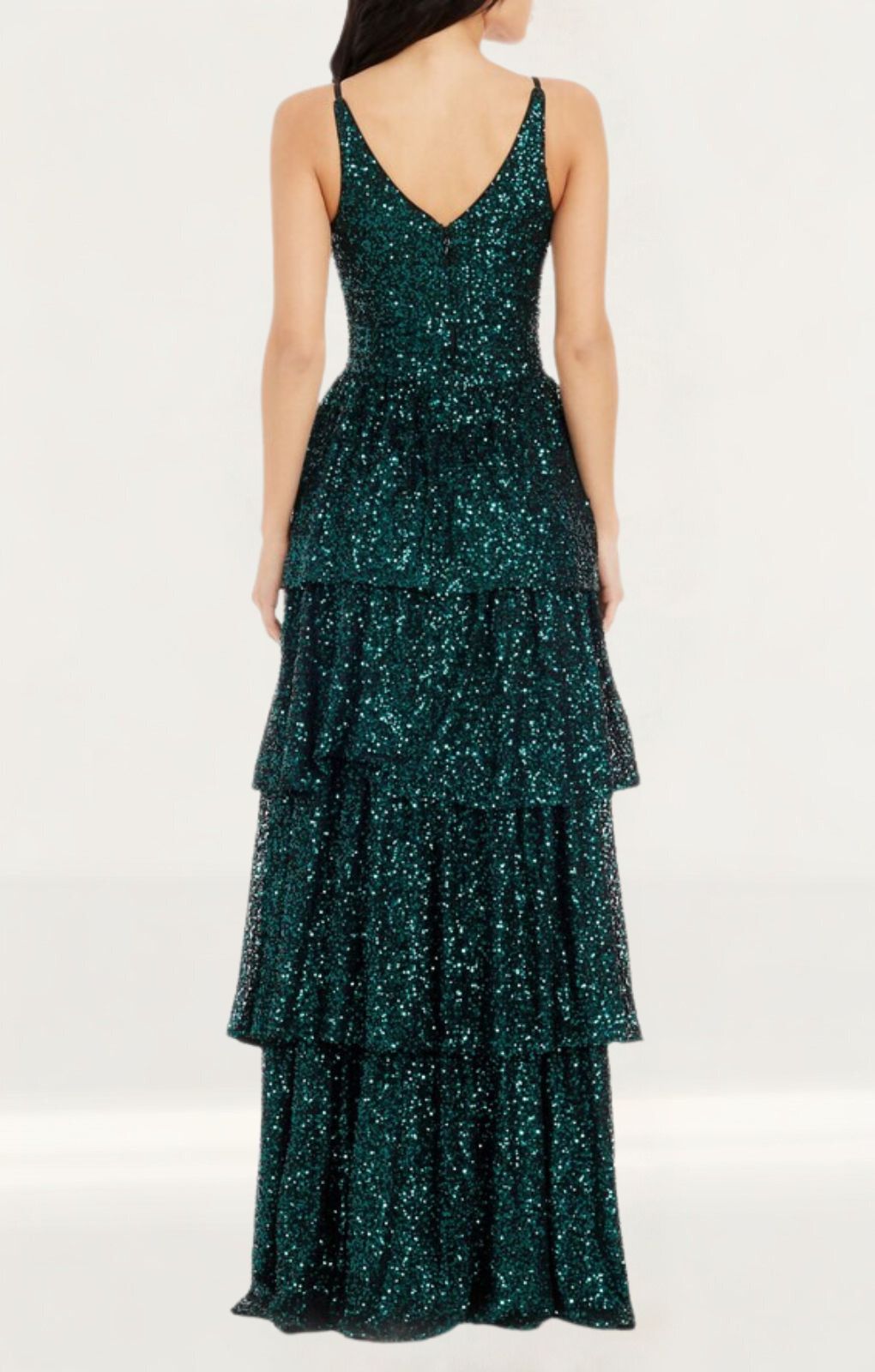 Dress The Population Lorain Maxi Dress