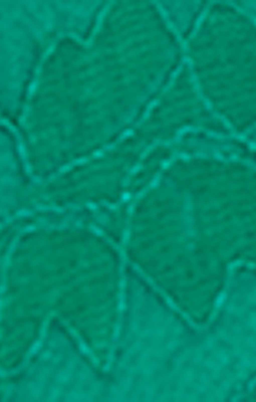 Oasis Green Strappy Lace Midaxi Dress