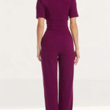 Dress The Population Dark Magenta Gloria Jumpsuit