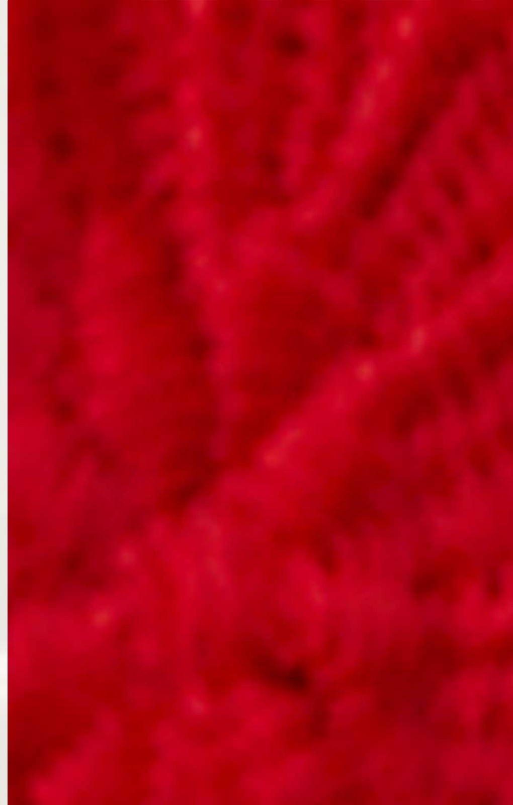 Oasis Red Lace Puff Sleeve Midi Dress