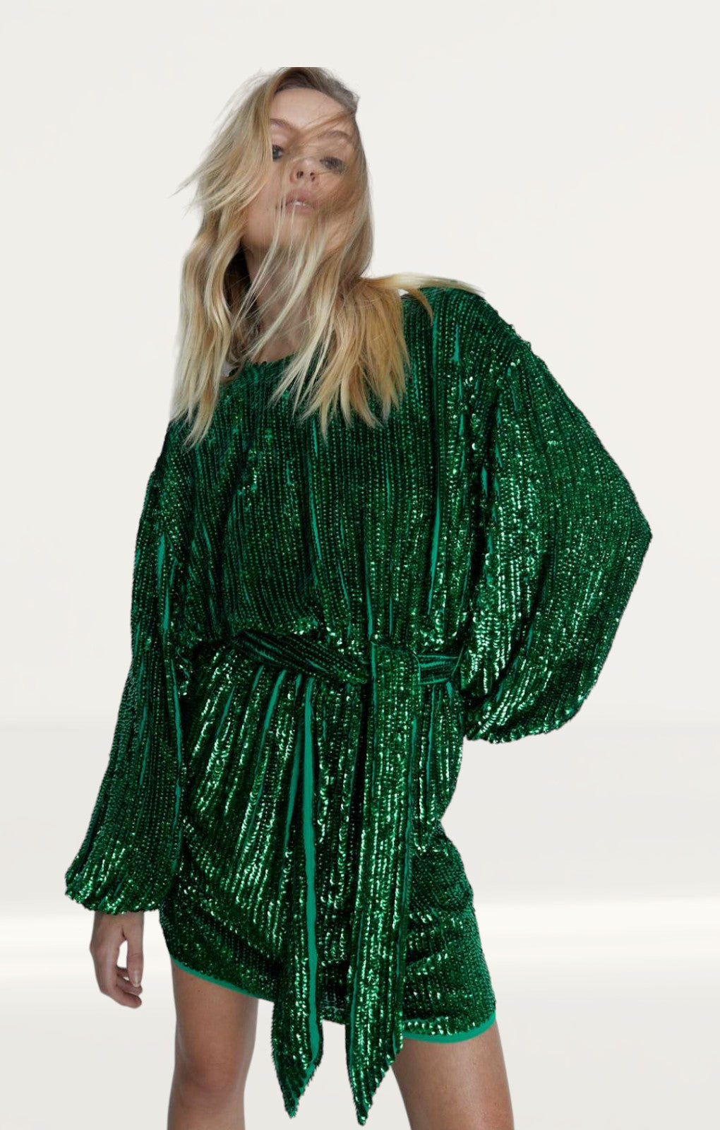 Warehouse Hand Sequined Belted Mini Dress