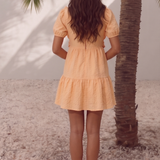 Neon Rose Ruffle Front Smock Dress In Textured Apricot