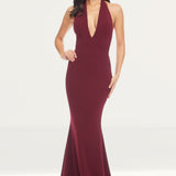 Dress The Population Camden Maxi Dress in Burgundy
