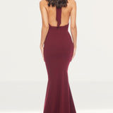 Dress The Population Camden Maxi Dress in Burgundy