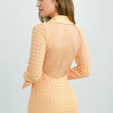 ASOS DESIGN Petite Broderie Backless Mini Shirt Dress In Apricot