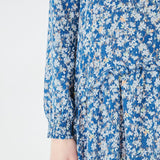 Hush Victoria Mini Dress In Watercolour Floral