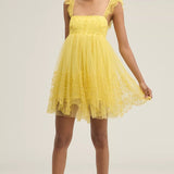 Let Me Be Eyelet Tulle Mini Dress