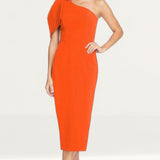 Dress The Population Tiffany One Shoulder Poppy Midi Dress