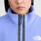 The North Face Fleeski Quarter Zip Pullover in Blue