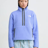 The North Face Fleeski Quarter Zip Pullover in Blue