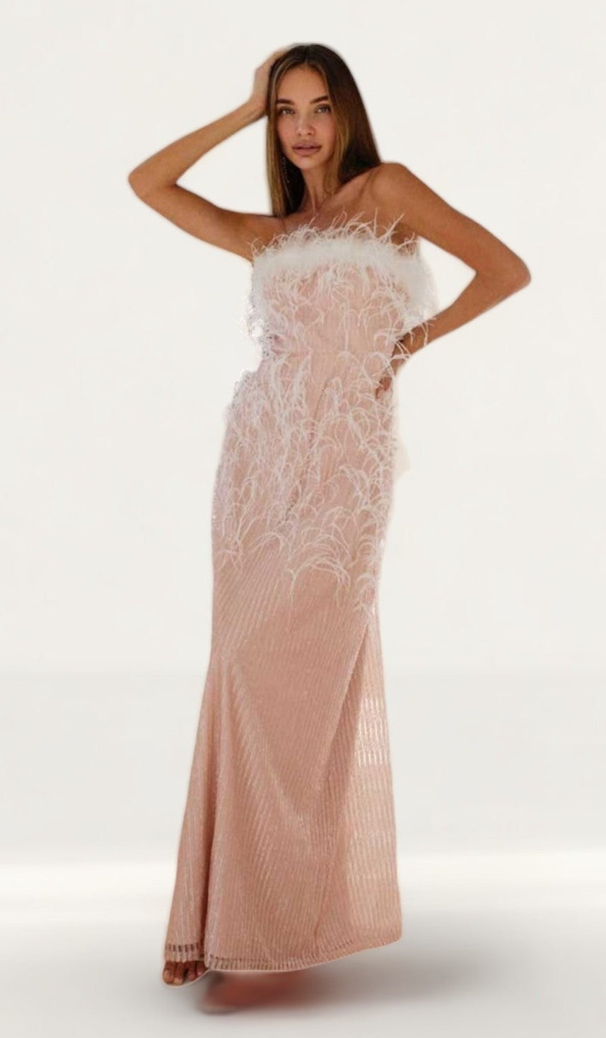 Anne Louise Boutique Rosa Feather Gown