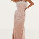 Anne Louise Boutique Rosa Feather Gown