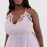 ASOS DESIGN Curve Premium Lace Top Tulle Dress