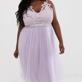 ASOS DESIGN Curve Premium Lace Top Tulle Dress