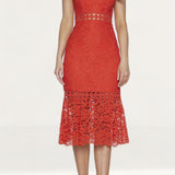 Bardot Red Trumpet Lace Midi Dress product image