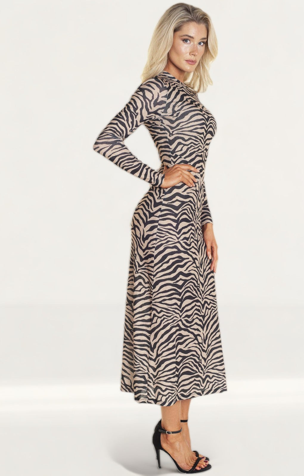 Bardot Zebra Print Mesh Dress product image
