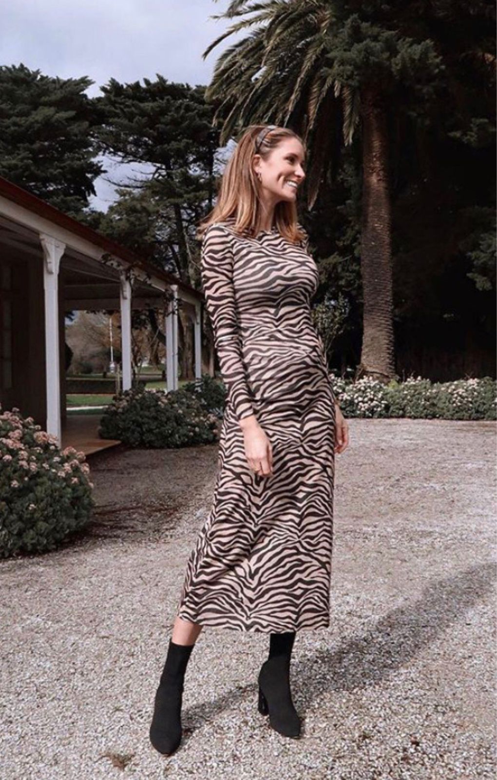 Bardot Zebra Print Mesh Dress