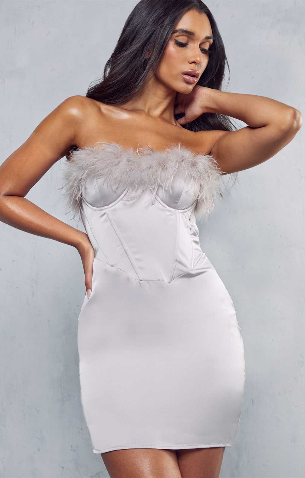Misspap Mink Premium Satin Corset Feather Trim Mini Dress