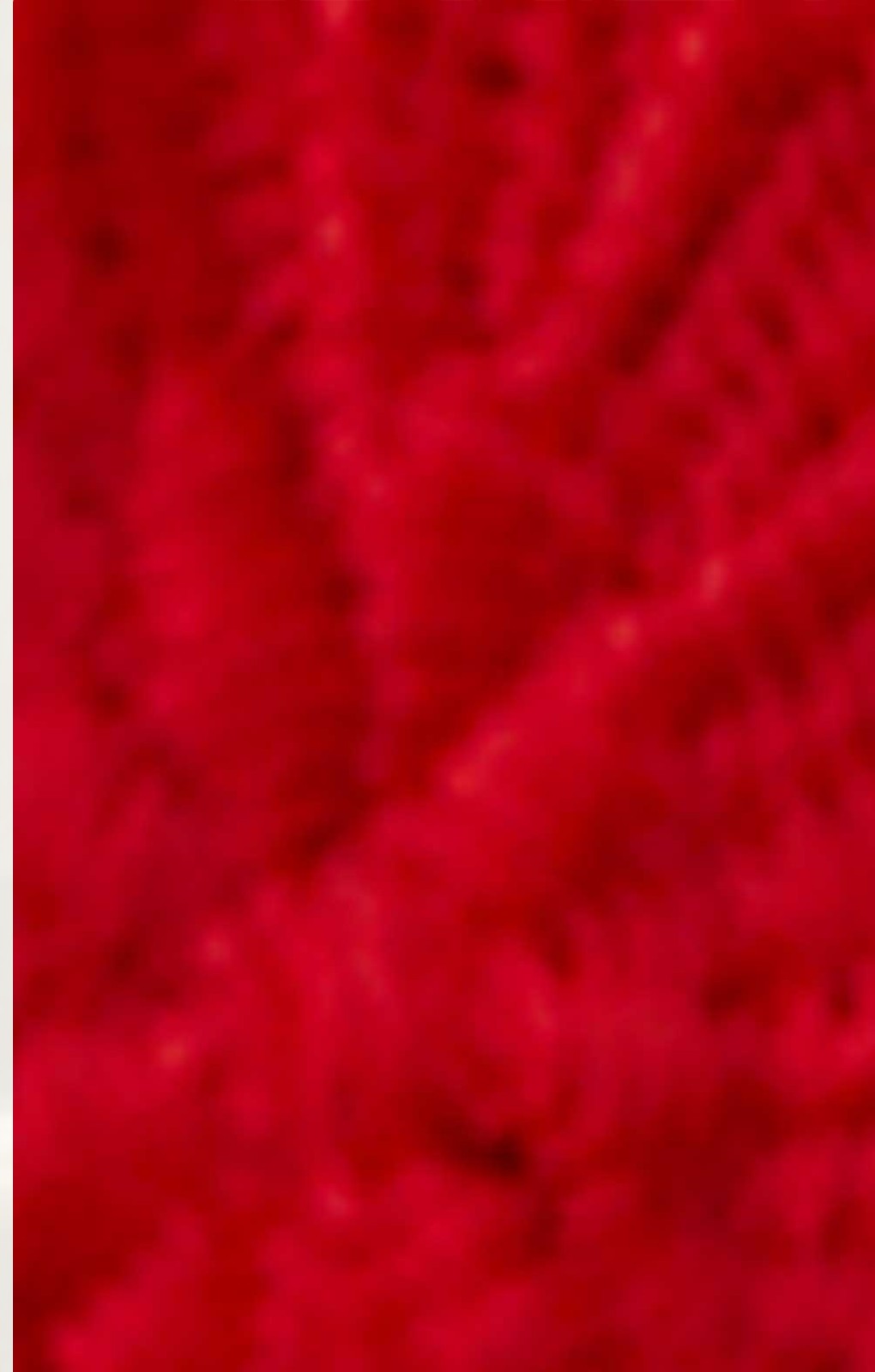 Oasis Red Lace Puff Sleeve Midi Dress product image