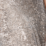 Winona Broadway Maxi Dress Silver product image